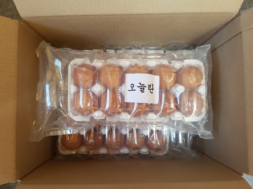 오늘란&구운란(가정배달)