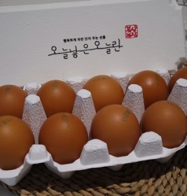 오늘란&구운란(가정배달)